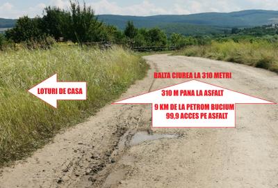 BUCIUM , 6 KM DIN IASI , DESCHIDERE DUBLA  , P+2,lac natural aproape - 4