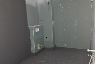 Aeroportul Baneasa-Natura, liniste si relaxare in curtea privata! - 11