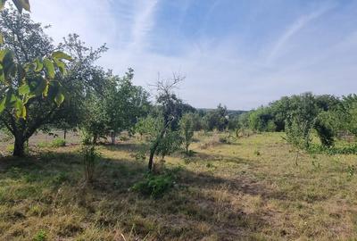 Teren 2000 mp de vânzare – Comana, deschidere la lac, aproape de Parcu - 3