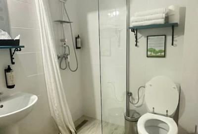 COMPLEX TURISTIC - oras Isaccea, judetul Tulcea, trecere bac UCRAINA - 9