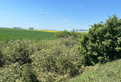 Teren Construcții intravilan de 52900 mp, în Afumați