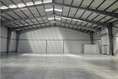 Spatiu Industrial - 1000 mp - Productie - Depozitare - Distributie - 4
