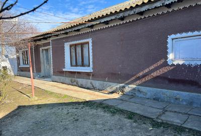 Teren + casa batraneasca PARTIZANI com MALIUC  (PE MALUL Dunarii) - 5