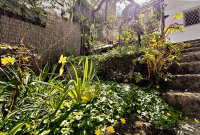 De inchiriat apartament la casa -Centru Istoric - 3