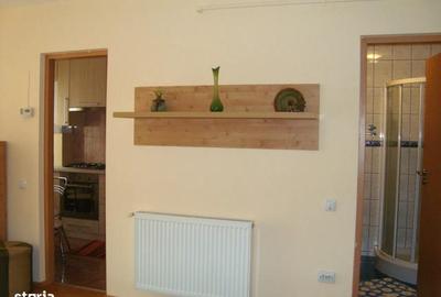 Apartament cu 2 camere decomandat, mobilat în Mănăștur - 4