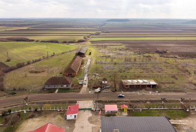 Fermă cu teren intravilan de 35000 mp în Mișca - 23