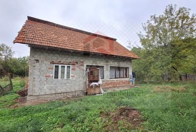 Casa de Vanzare Baiculesti Arges - 2