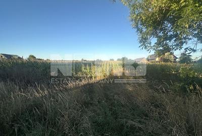 Teren Siret E85 | 2500MP | Toate Utilitățile - 5