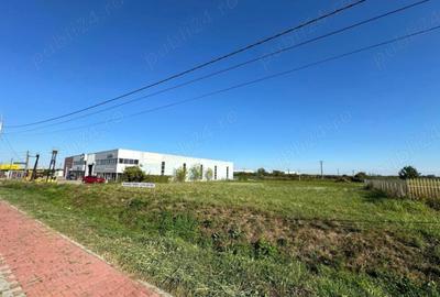 Teren de Inchiriat - Remetea Mare - 3200mp - 1