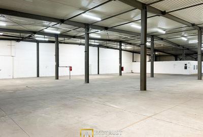Hala de inchiriat Arad – 1.135 mp pentru comert, servicii - 7