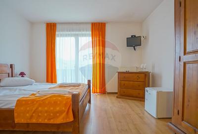 Complex Turistic Panicel, DN73A - 42