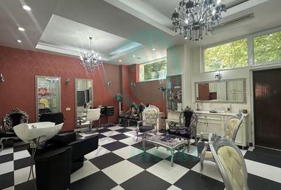 Spatiu Comercial CALEA MOSILOR - 5