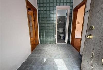 Bistrita Lac - casa + teren - 14