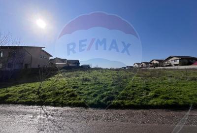 Teren Construcții intravilan de 314 mp, în Berceni