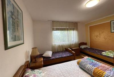 Cabana/Vila de inchiriat Valea Budului, Margineni - 8