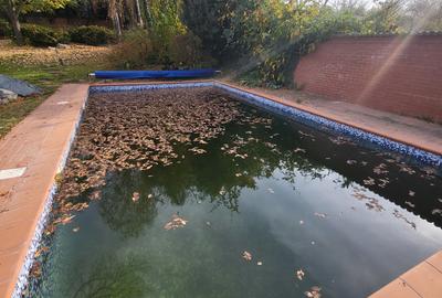 Vila lac snagov in cea mai buna portiune a lacului, ponton, garaj barca, piscina - 38