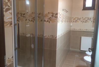 Vila 2005,metrou Brancoveanu 14 min, P+1, su 200mp, 5 camere,3 bai, teren 200 mp - 9