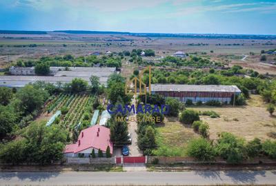 Casa - hala si teren de 9000 mp - ideal investitie - Fundeni/Calarasi - 1