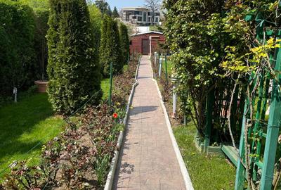 Vanzare vila situata pe malul Lacului Snagov, gradina si piscina, teren 1520 mp, - 5