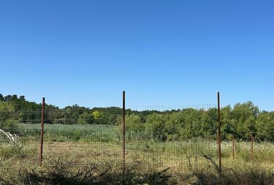 Teren cu deschidere la lac strada Orhideelor- conectare imediata la curent - 10