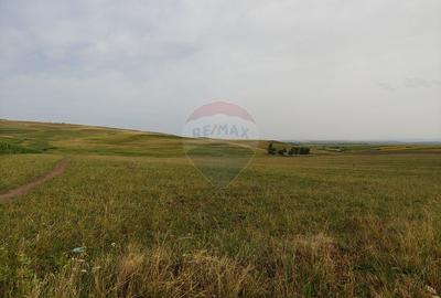 Teren parțial intravilan-300000mp Stroiești-Trei Movile, Suceava - 15