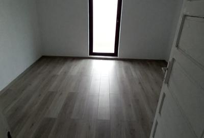 Vanzare proprietate- casa si teren Gheboieni Dambovita - 2