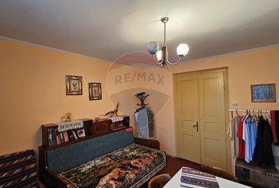Casă / Vilă cu 3 camere de vânzare-Cacica-Suceava - 57