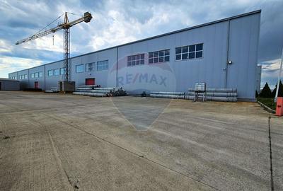 Complex industrial de vanzare – Aricestii Rahtivani, Prahova - 12007mp - 2
