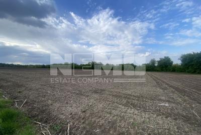 Teren Extravilan | 50 Ari | Horodnic De Jos - 1