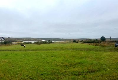 Teren agricol intravilan de 10000 mp, în Liteni (Moara)