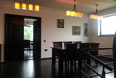 Casa D+P+E de inchiriat in Alba Iulia zona CETATE 350 mp si Teren 600 mp - 6