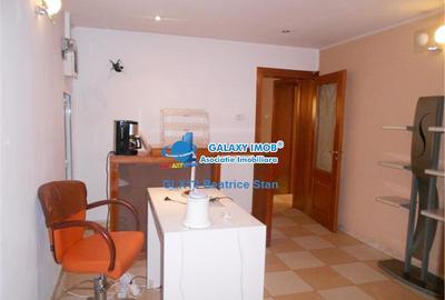 Demisol inalt elegant in vila SALON BIROU in COTROCENI   EROILOR - 12