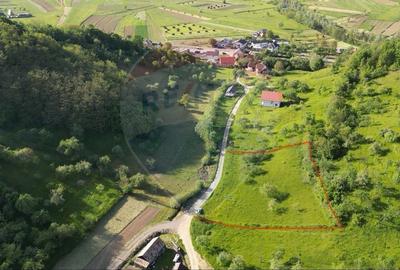 COMISION ZERO - Teren 2339 mp in Barsana - 1