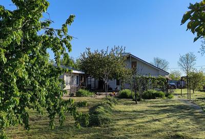 Casa Modernă + Casă de Oaspeți în Chișcani/ teren 1314 mp/panouri fotovoltaice - 15
