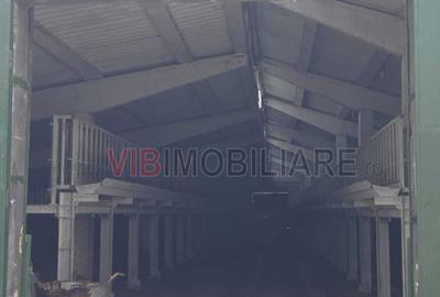 *Fermă modernă pentru export miei | 6 ha | Standarde europene | Aproape de Brăil - 8