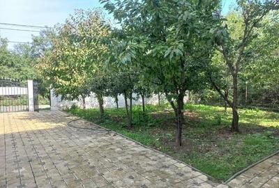 Casa solida, moderna si luminoasa; liniste totala in natura! - 4