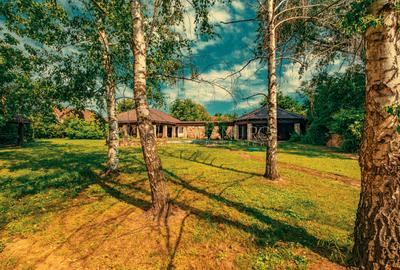 Casa superba cu vedere la lac in Izvorani – piscina, natura,si potential imens! - 7
