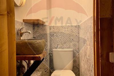 Casă de vacanță deosebită cu ciubăr si saună - natura si relaxare - 23