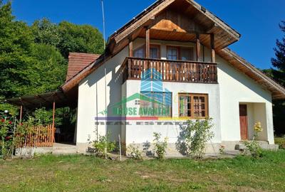 Casa de vacanta /Cabana de vanatoare  Soveja - Vrancea - 1