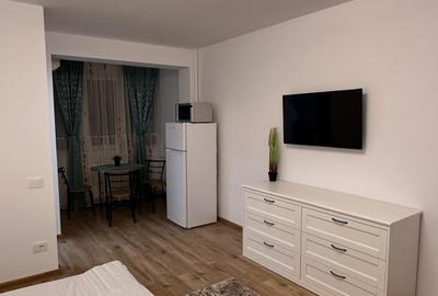 Dristor, garsoniera, 1 minut metrou, renovata total - 3