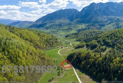 Teren Construcții extravilan de 1893 mp, în Plaiul Foii