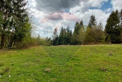 Poienita 2800mp, Covasna, zona hotel Clermont, inconjurat de padure - 14