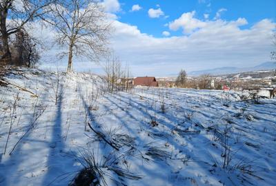 Teren intravilan de vanzare in Bran - 10