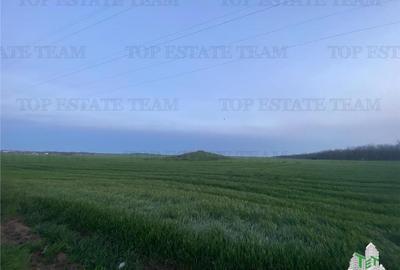 Teren intravilan 15000 mp Costinesti, Constanta - 7