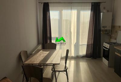 Apartament 2 camere de inchiriat Sibiu Doamna Stanca - 5