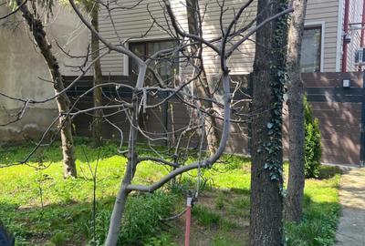 Gara de Nord - Plevnei 3 camere decomandat parter 81 mp + pivnita + pod - 15