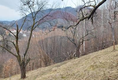 Teren de vânzare – Brașov, zona Dupa Iniste, 2710 mp - 9