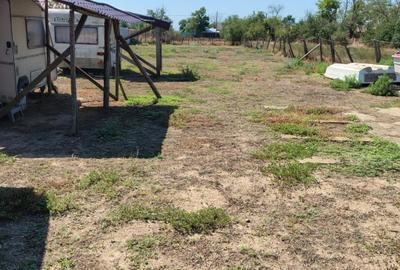 Teren INTRAVILAN în Delta Dunării – 1035 mp – Chilia Veche – locație rară - 4