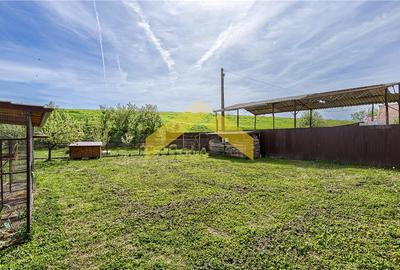 Casa noua de vanzare Sannicolau Mic - 14