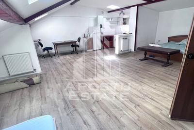 Apartament 1 camera,mansarda, de inchiriat, zona Dambovita,Timisoara - 5